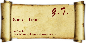 Gans Timur névjegykártya